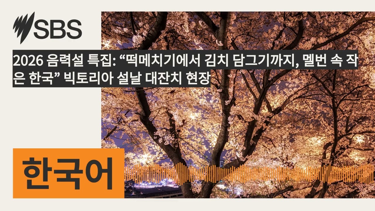 2026 음력설 특집: “떡메치기에서 김치 담그기까지, 멜번 속 작은 한국” 빅토리아 설날 대잔치 현장 | SBS Korean - SBS 한국어 프로그램