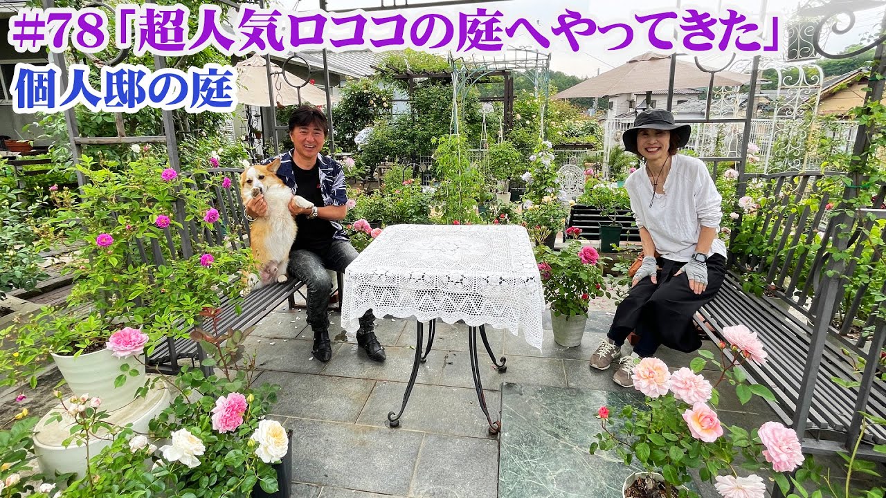 【お庭訪問】第78回 全国にファンも多いロココさんの庭へ／これから咲くバラやクレマチスの仕立てを解説【個人邸の庭】