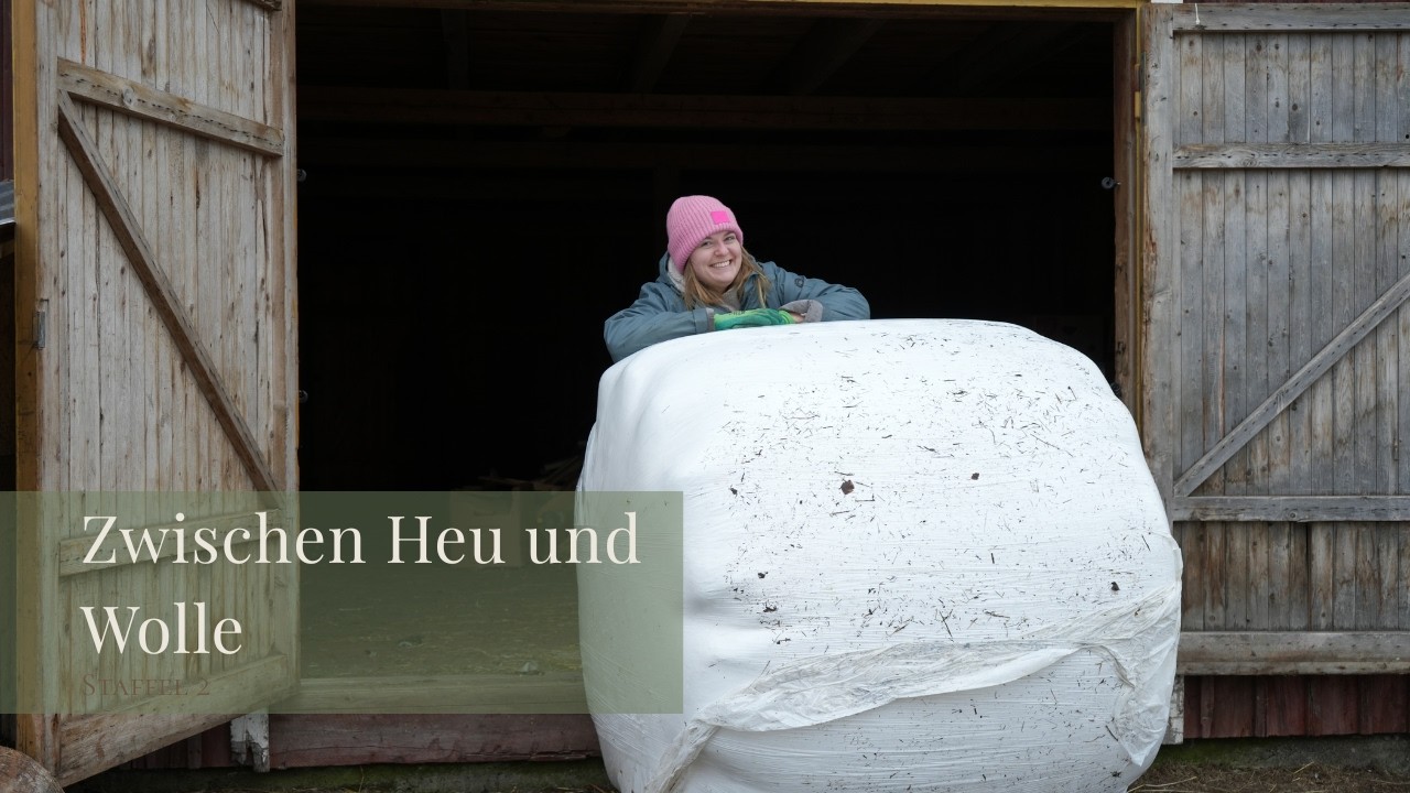 Zwischen Heu & Wolle - Unsere Schafe in Nordschweden