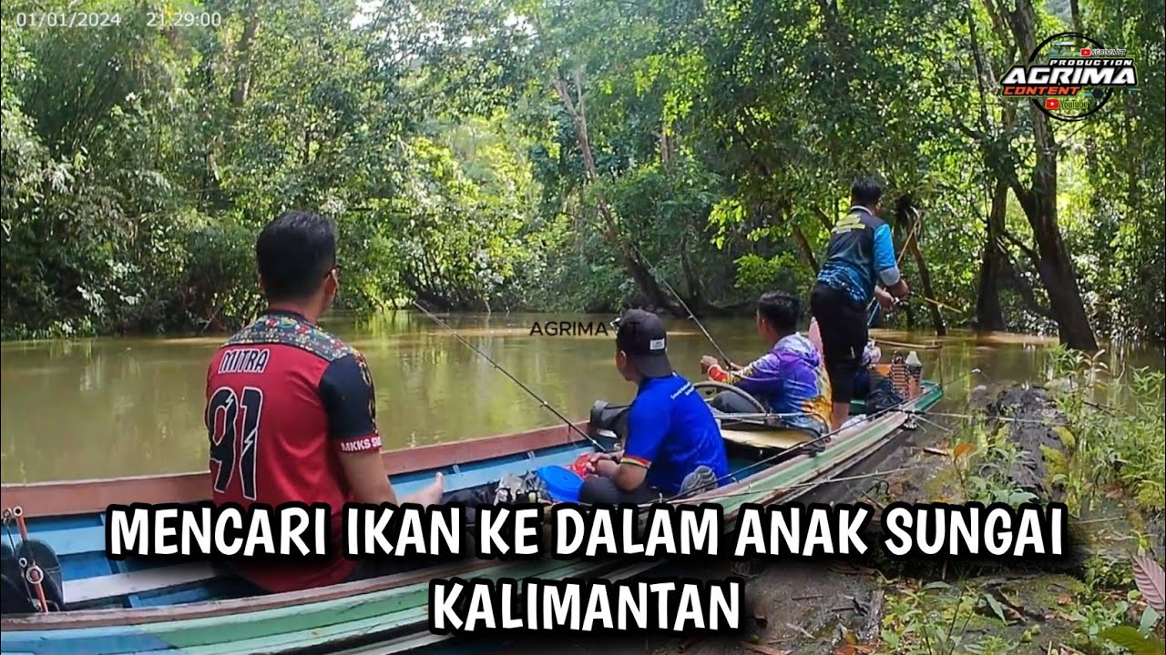 MANCING IKAN DI ANAK SUNGAI KALIMANTAN