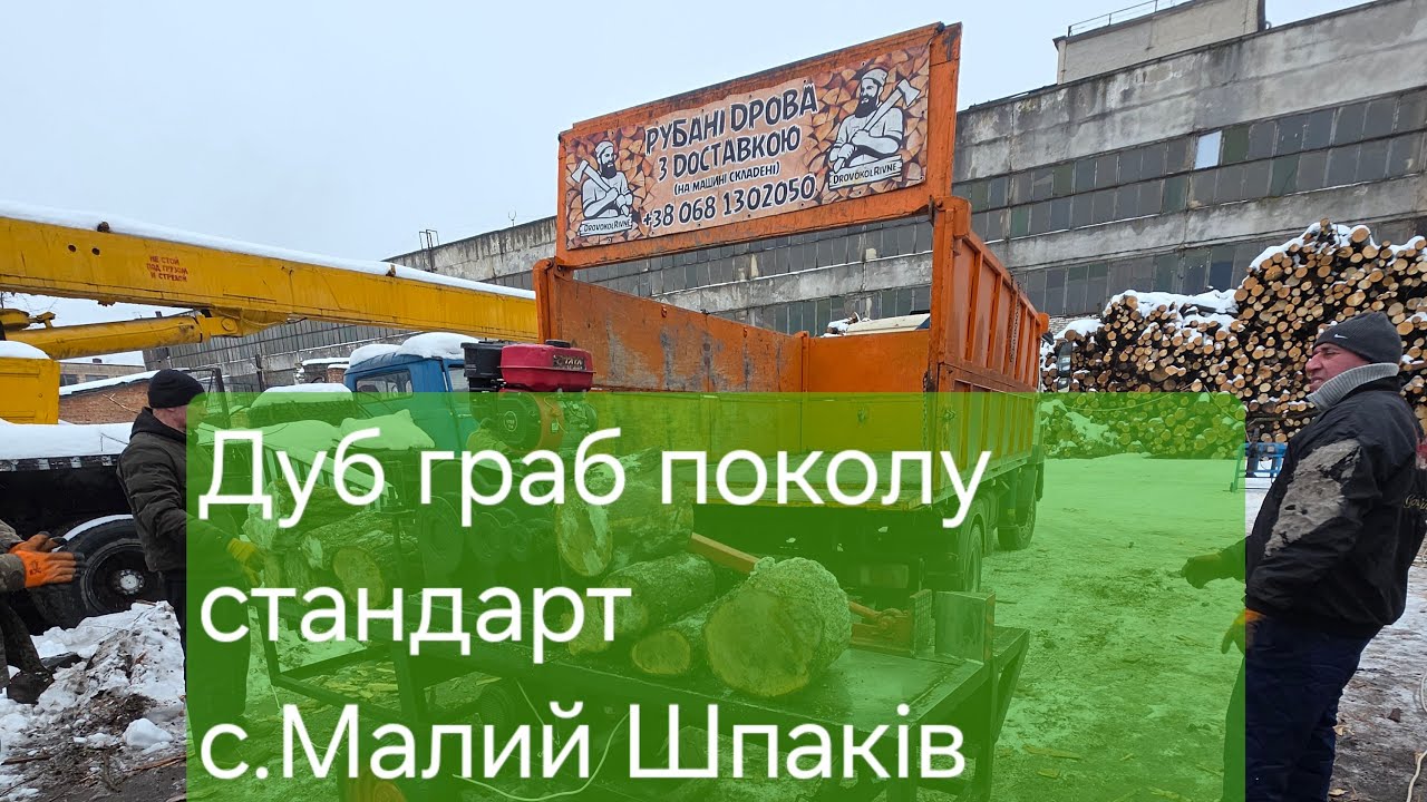 Дуб граб поколу стандарт с.Малий Шпаків