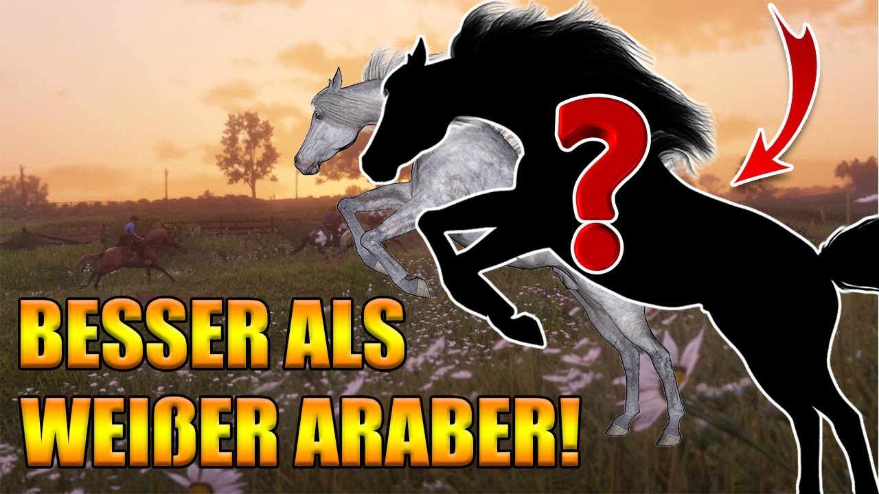 Bestes Pferd in Red Dead Redemption 2 - Besser als der weiße Araber!