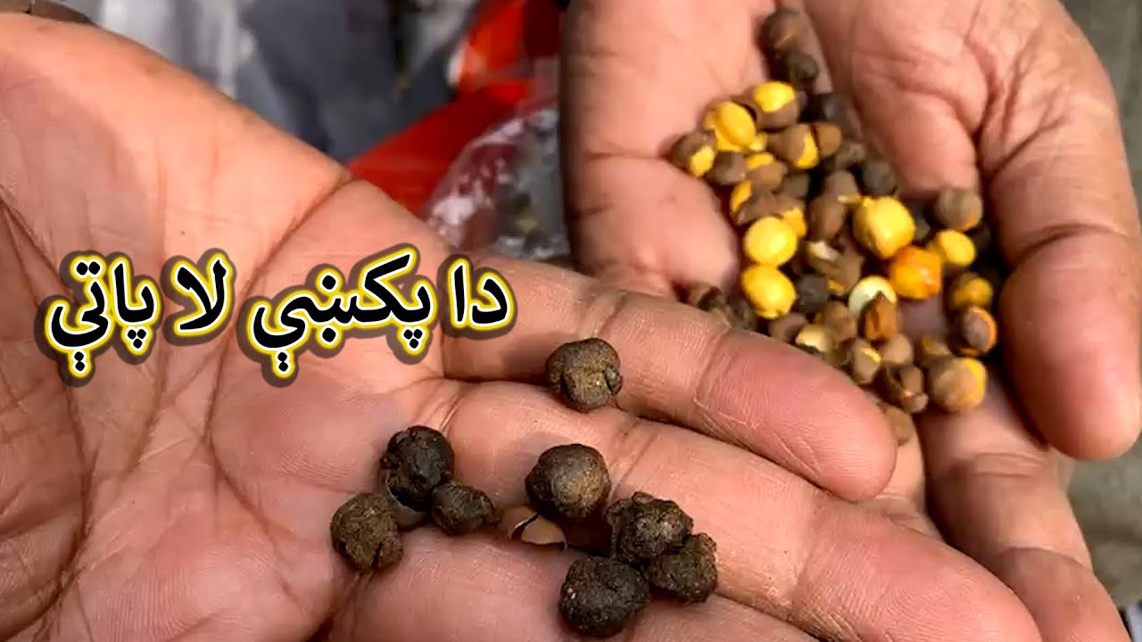 Aam Olas: Ep # (1014) | Da Pakay La Patay.