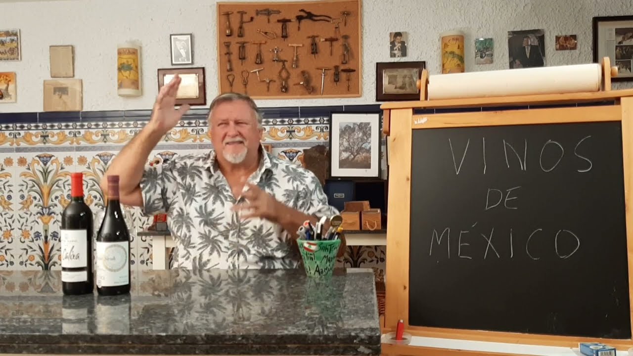 91 - El vino en México. Vinos mexicanos en España.
