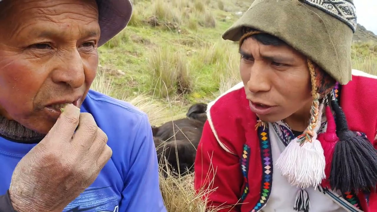 Tiempos de barbecho en el campo