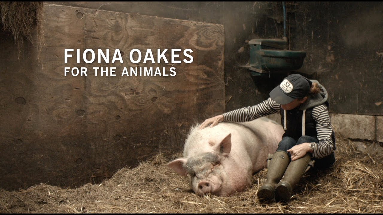 FIONA OAKES - FOR THE ANIMALS