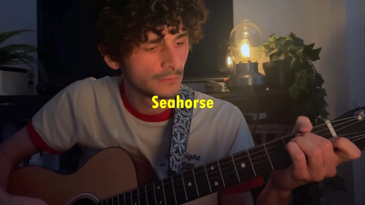 Seahorse