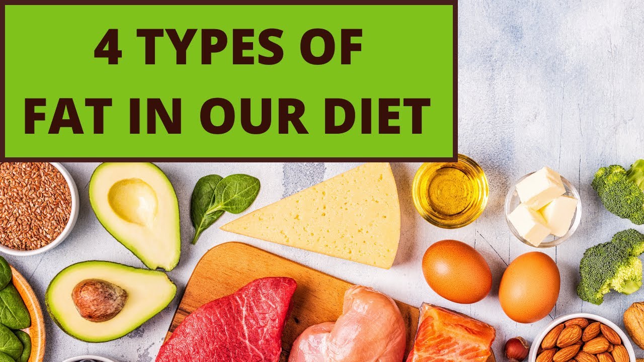 4 Types Of Fats - The Basics