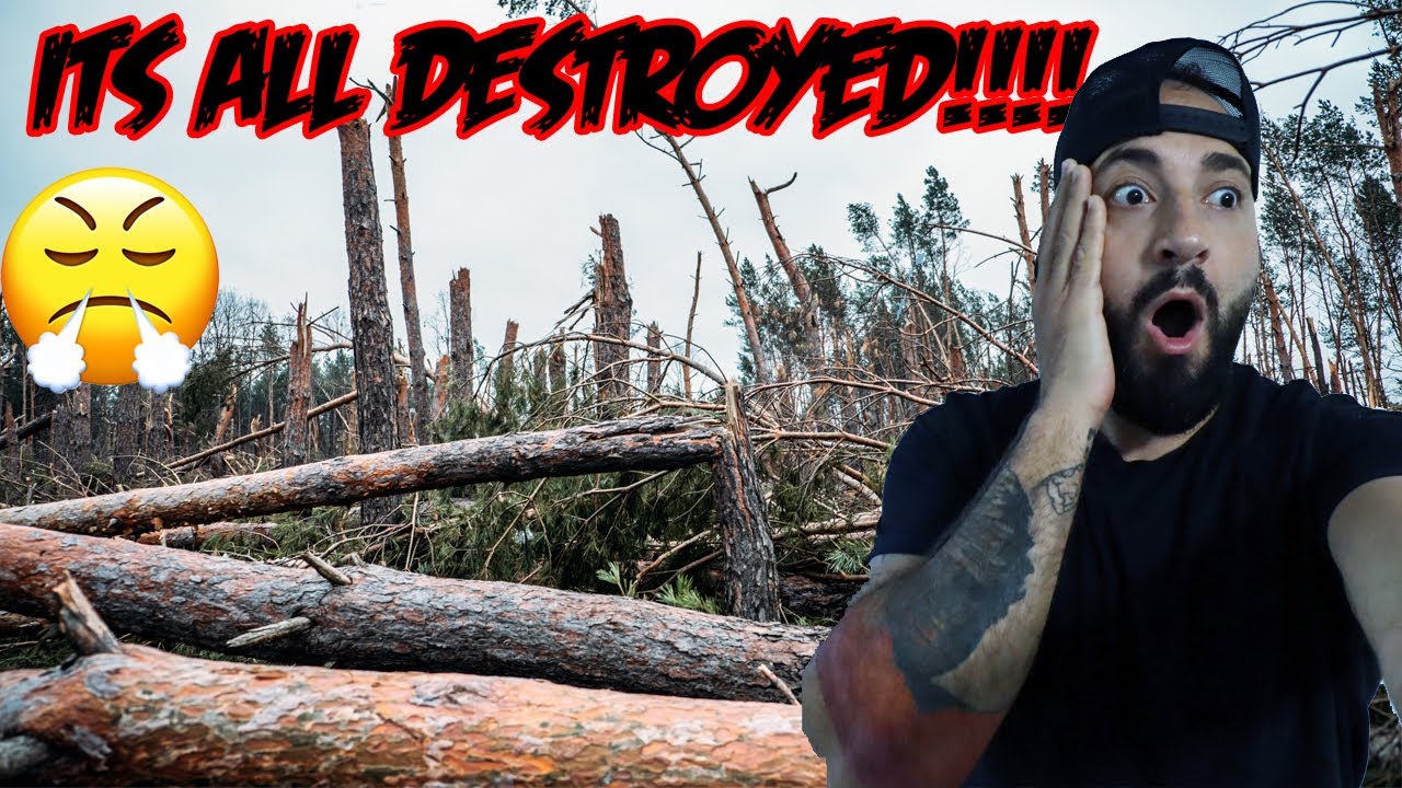 TORNADO DESTROYED THE RANDONAUTICA TREE HOUSE!