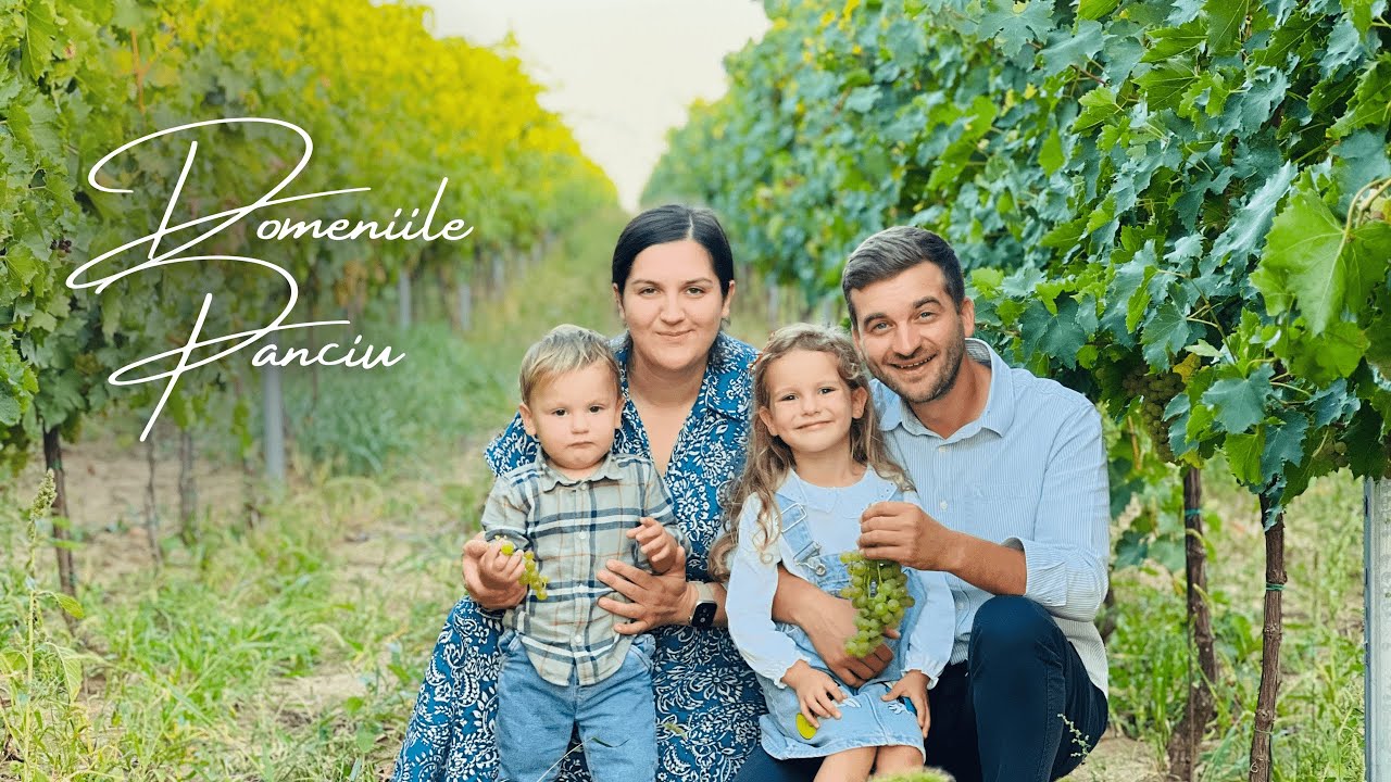 Domeniile Panciu: O Plimbare Prin Podgorii alături de Prieteni și Familie