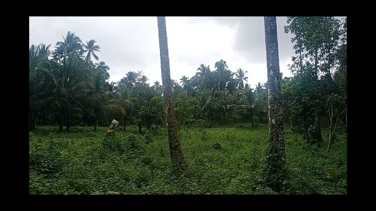 (#67) Lot only for sale‼️ murang hulugang lupa😲 1800 per sqm to 2k per sqm.rizal laguna
