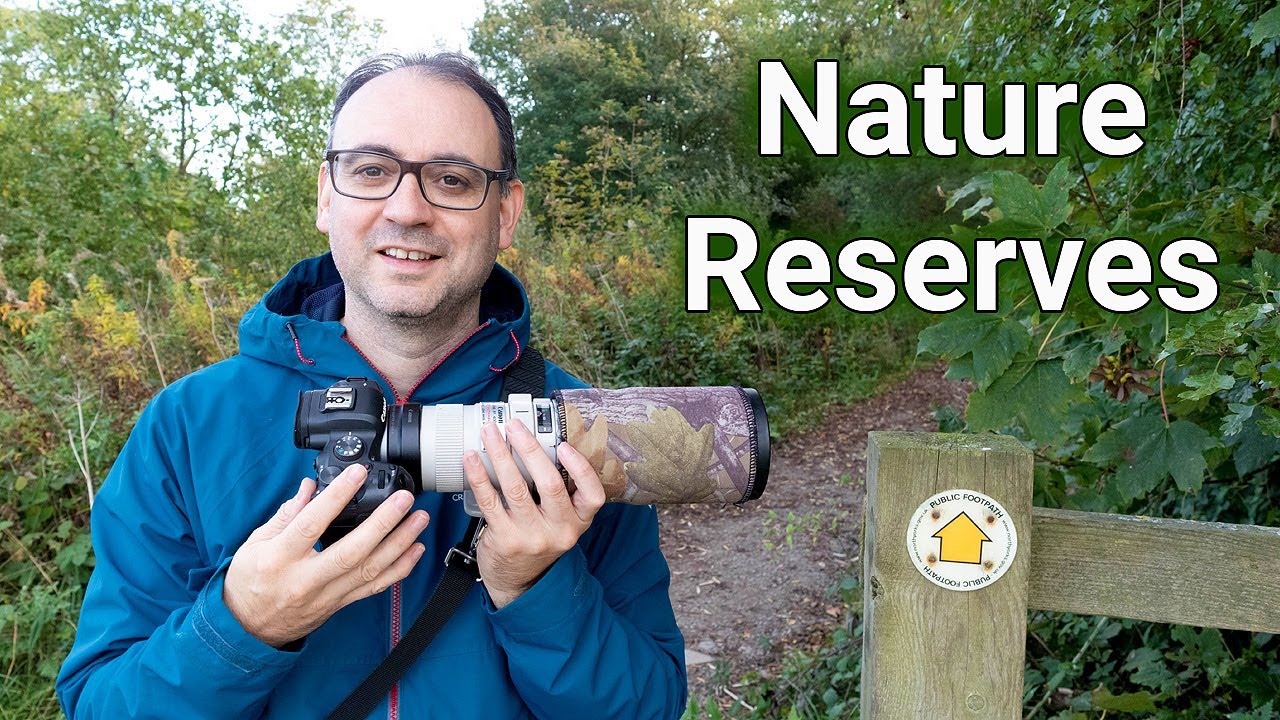 How to Photograph Wildlife on a Nature Reserve (UK) - My Top Tips!