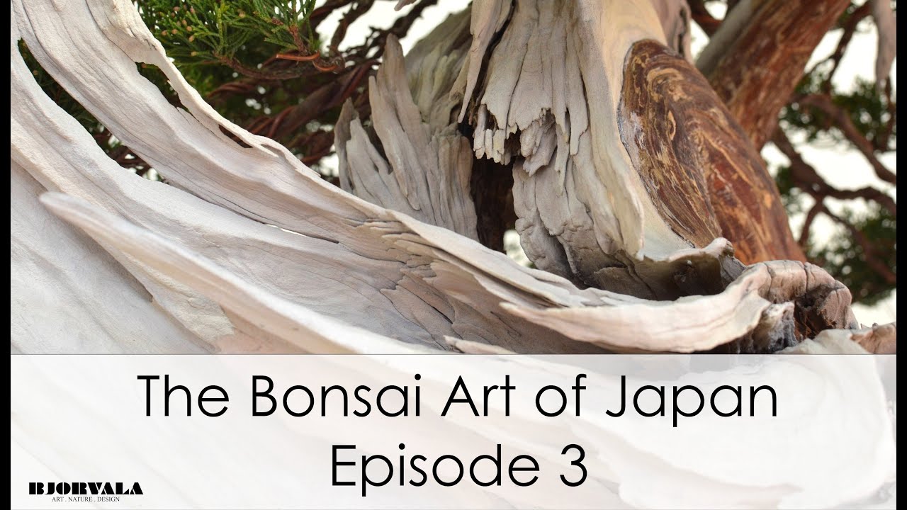 The Bonsai Art of Japan - Episode 3