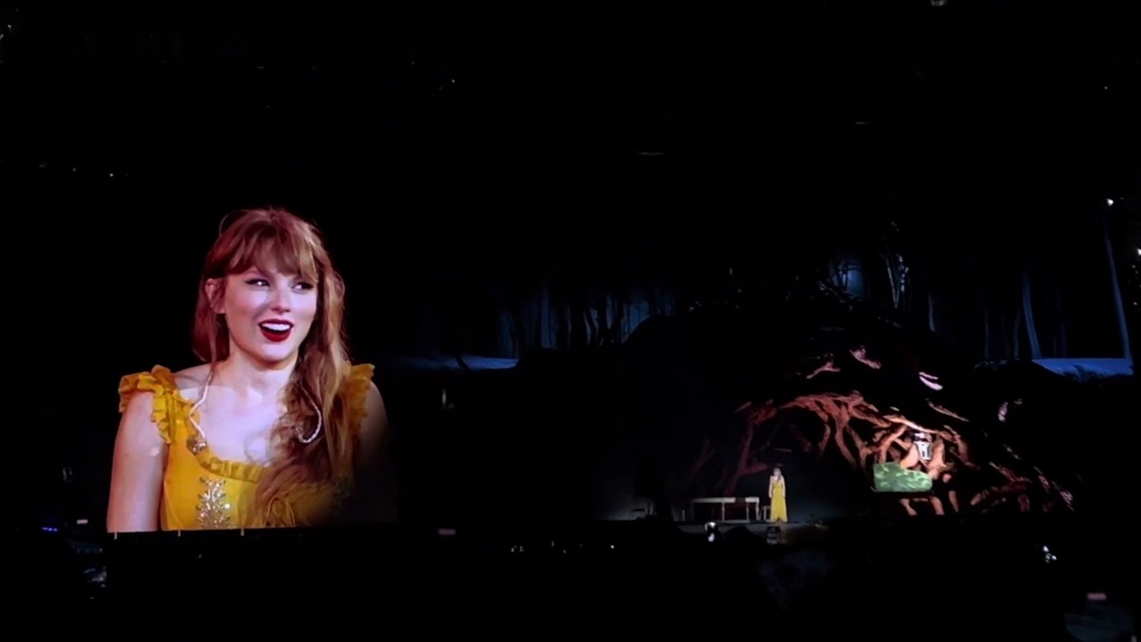 Taylor Swift Getting an 8 Minute Standing Ovation