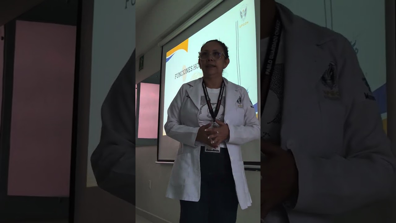 Endocrino 2