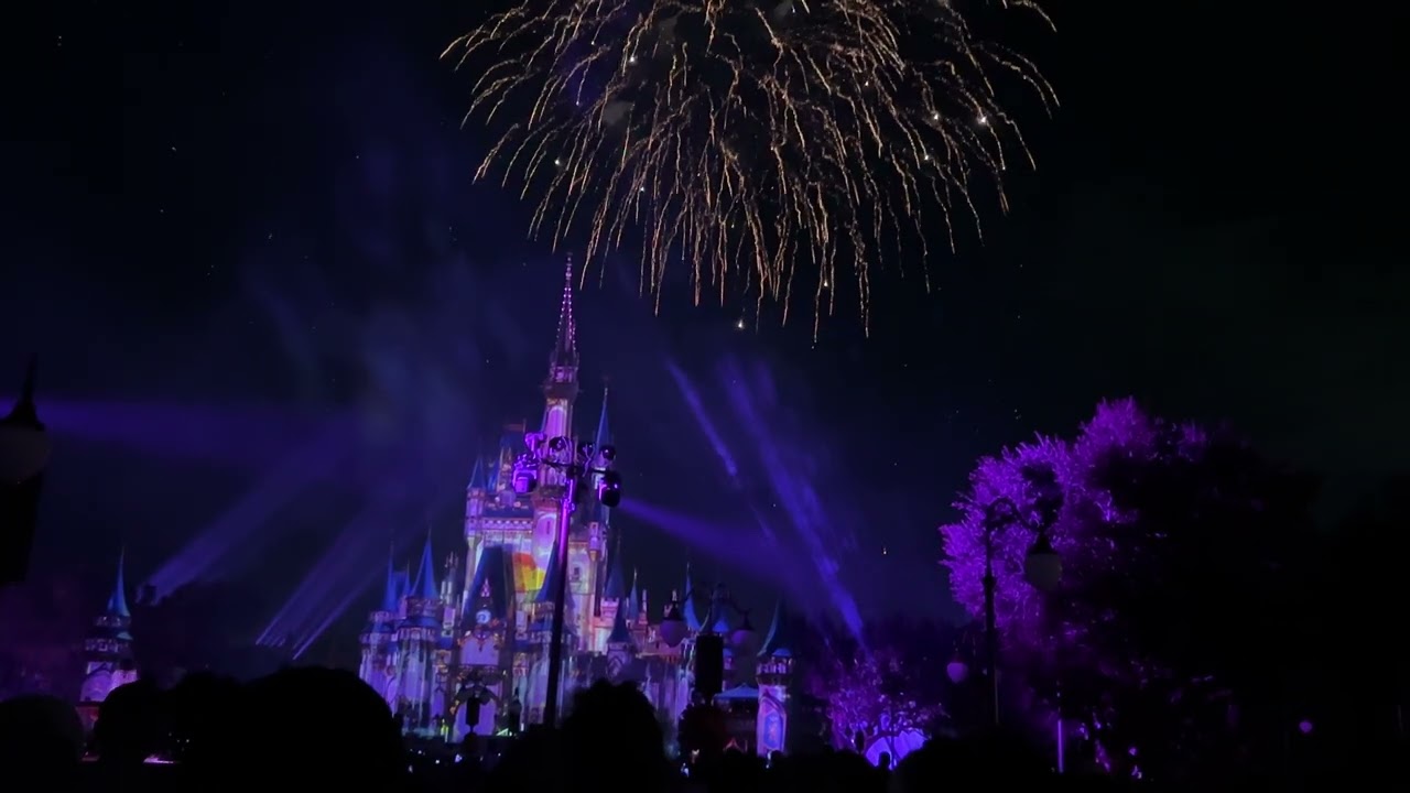 Happily Ever After Desert Party Garden View. WDW 2025 