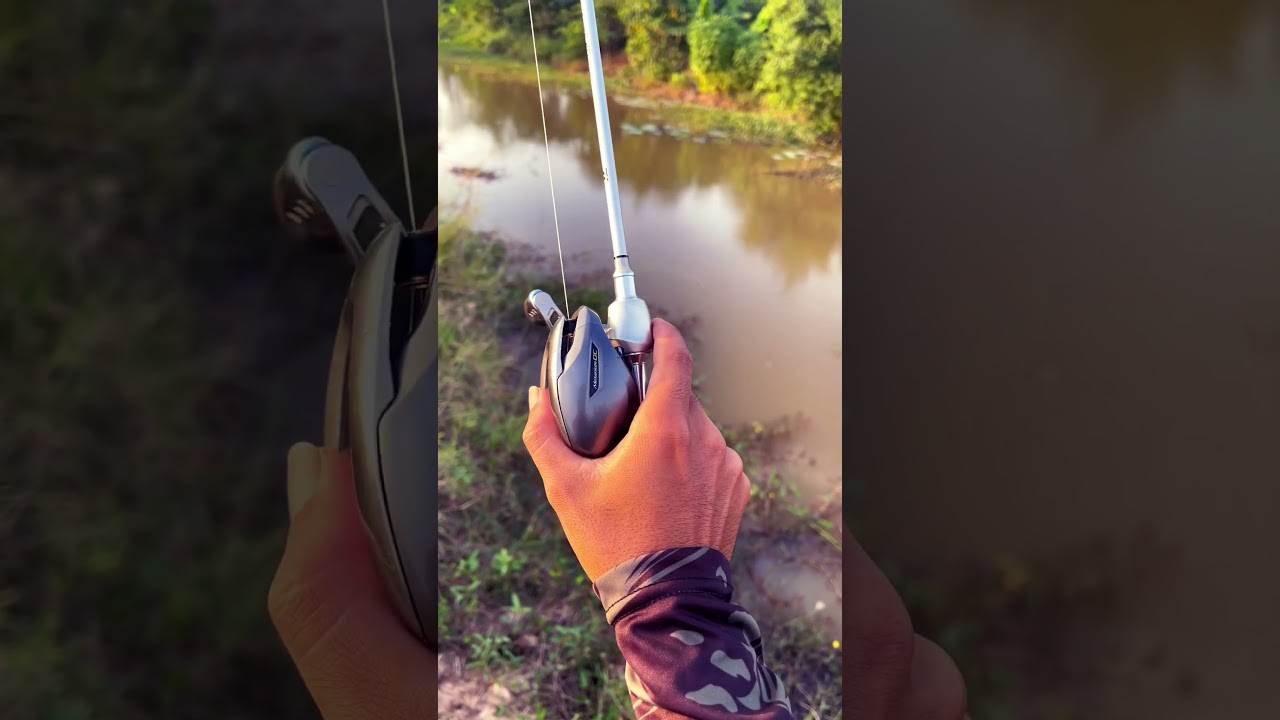 UL rod 🤩MetaniumDC the best#fishing #storts #casting #fishinglife #fishinghook #fish