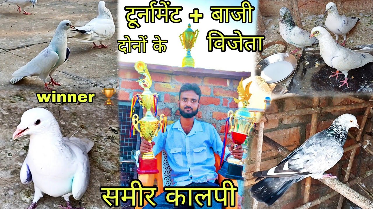 टूर्नामेंट + बाजी दोनों के विजेता 3 नवंबर 2024. समीर कालपी  winner 🏆 tunament ke.3 November 2024 ||