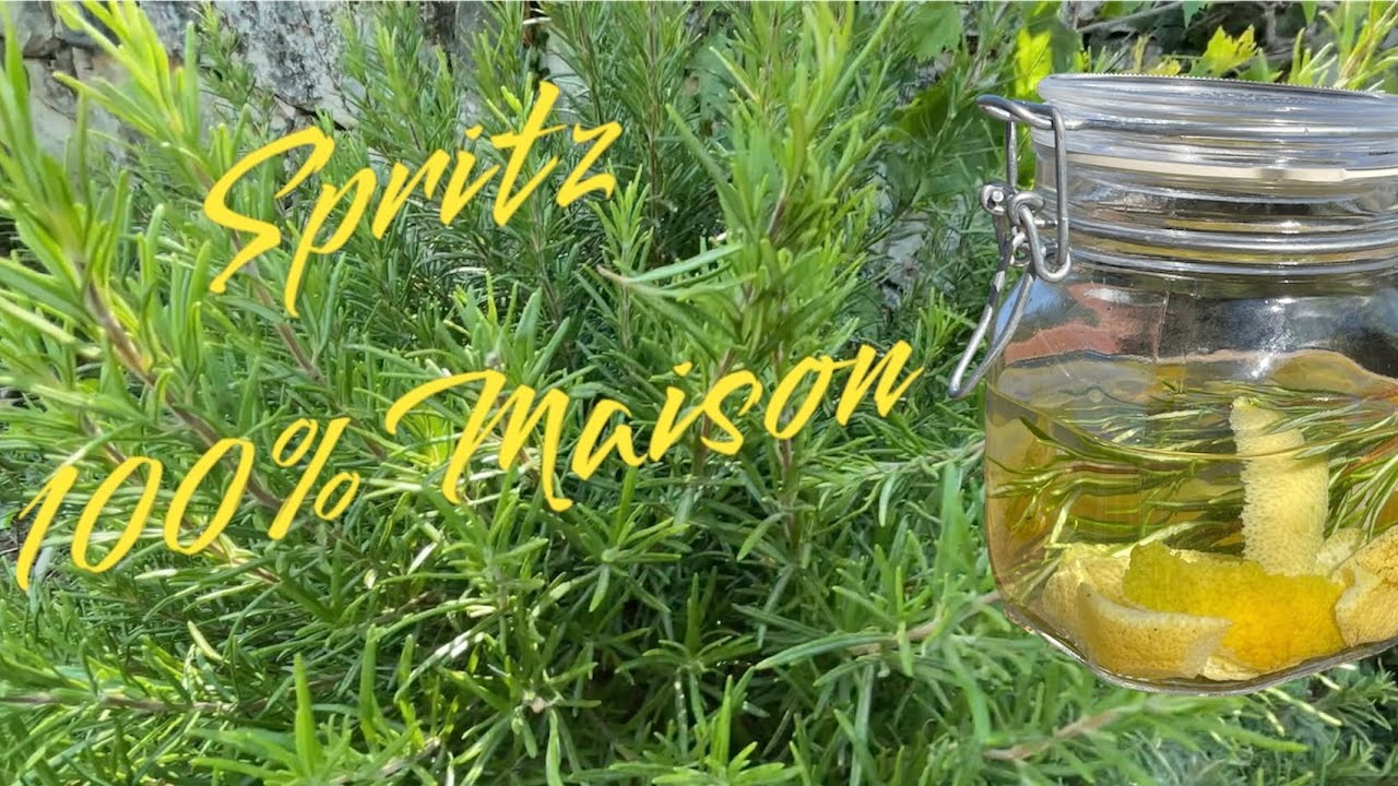 Spritz citron romarin 100% maison 1 ere Partie