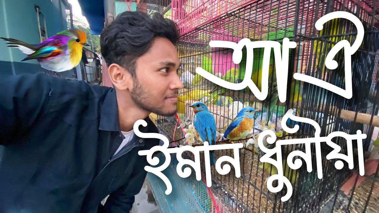 দিনত তিনিবাৰ গা ধোৱা চৰাই দেখিলোঁ ইয়াত - Aquarium Tour & Pet Lovers Vlog💙