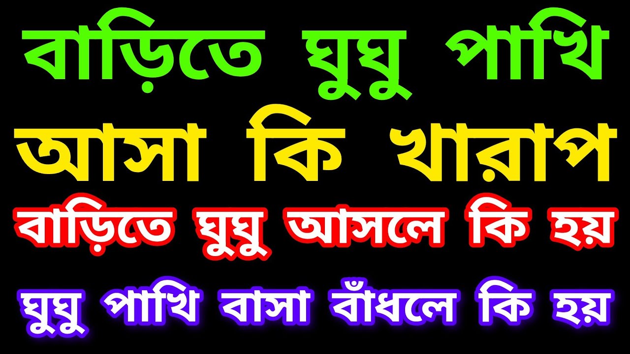 বাড়িতে ঘুঘু পাখি আসা কি খারাপ? | বাড়িতে ঘুঘু আসলে কি হয়?