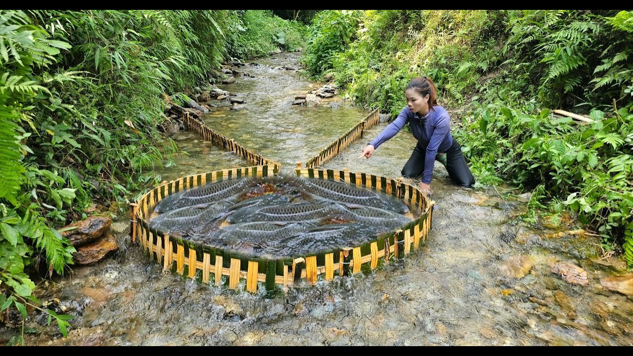 Girl weaves bamboo to create unique fish trap, catches nearly 15kg of carp