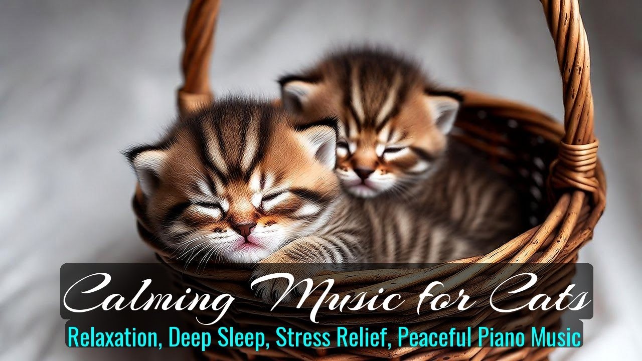 Calming Music for Cats - Relaxation, Deep Sleep, Stress Relief, Peaceful Piano Music | Season 42