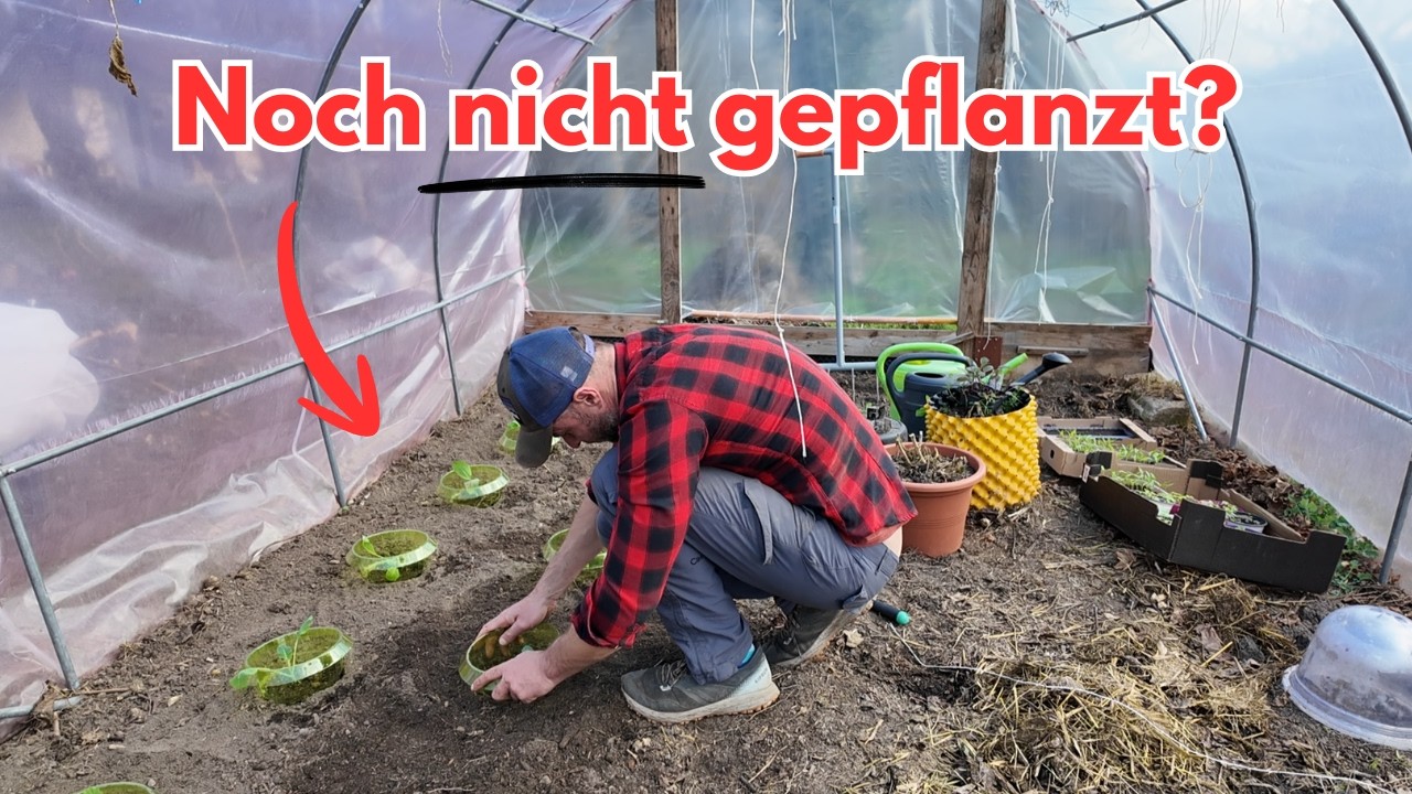 Die ersten Pflanzungen im März – Hochbeet & Gewächshaus richtig starten. 🌱
