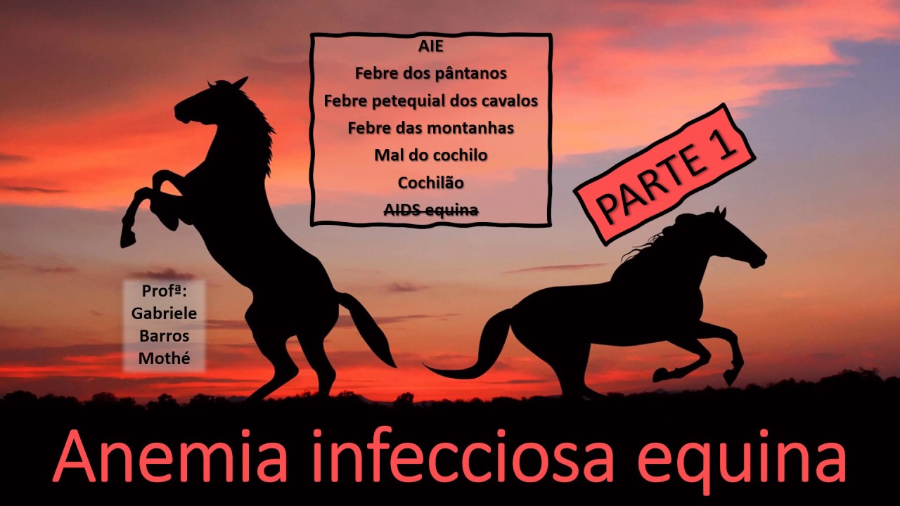 ANEMIA INFECCIOSA EQUINA - parte 1 (medicina veterinária)