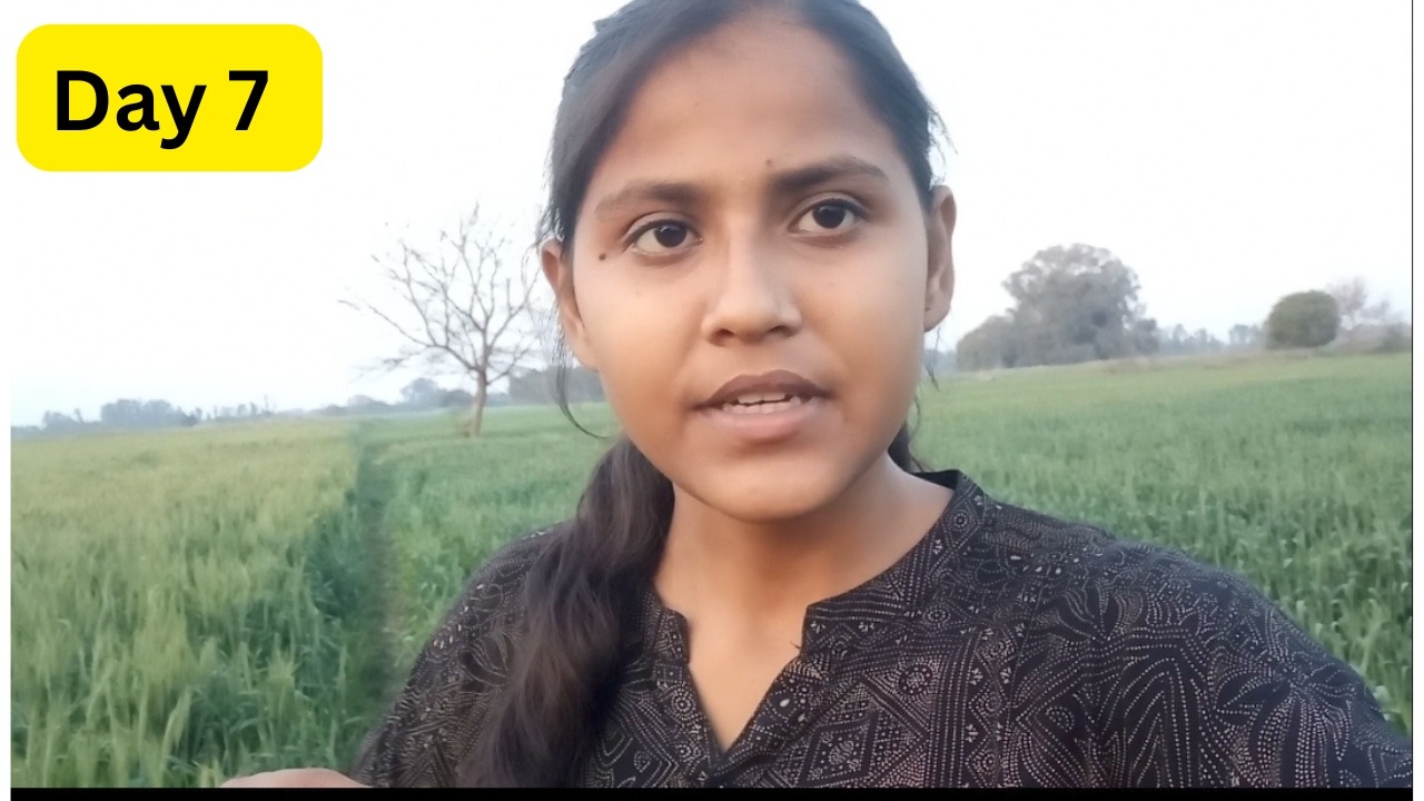 Day 7 | My English Journey !!!