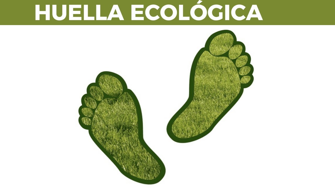 &iquest;Qu&eacute; es la HUELLA ECOL&Oacute;GICA?👣&iquest;C&oacute;mo calculara de manera exacta?
