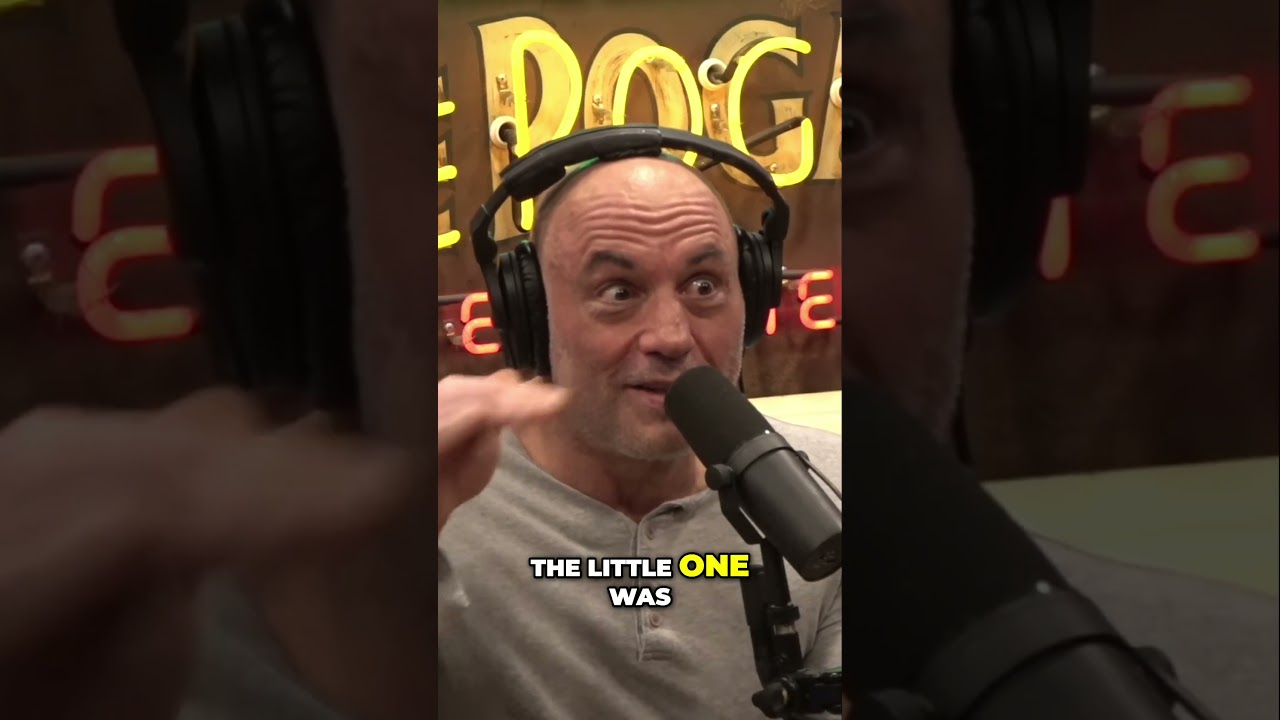 Adam Sandler Reminisces About Boston Comedy Clubs with Joe Rogan | JRE