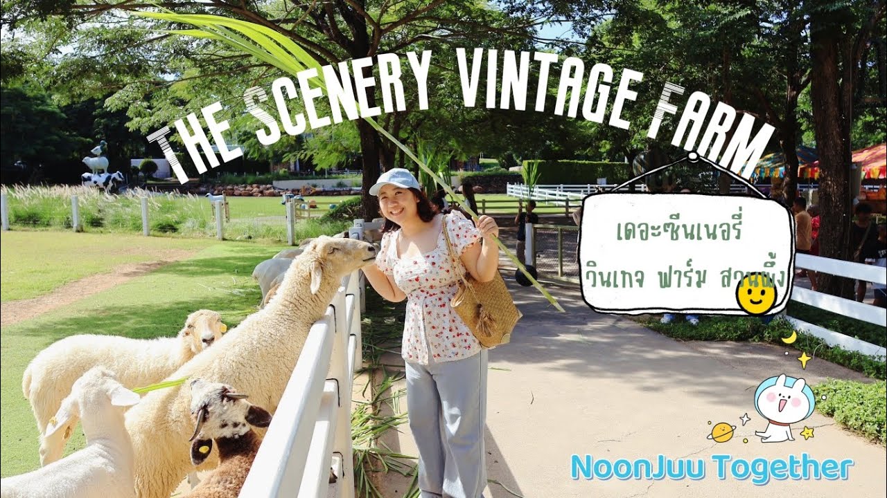เที่ยวฟาร์มแกะ The Scenery vintage Farm สวนผึ้ง ราชบุรี