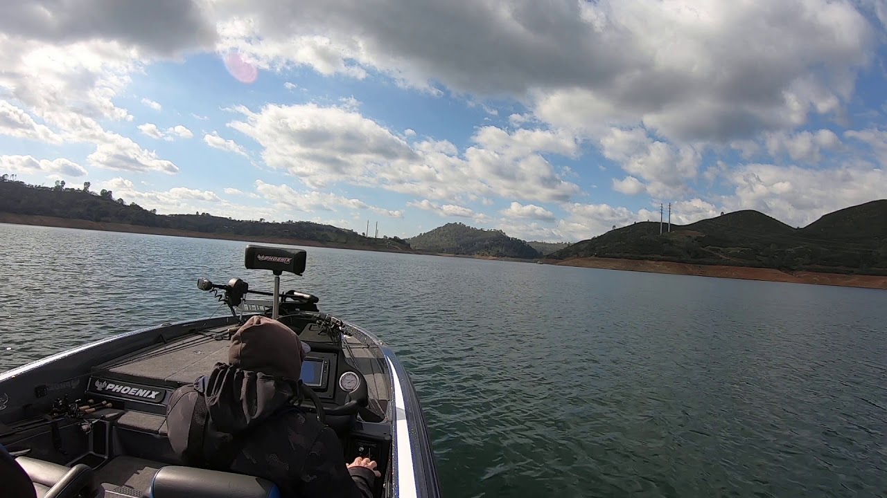 blue bird 818 #phoenix #fishing