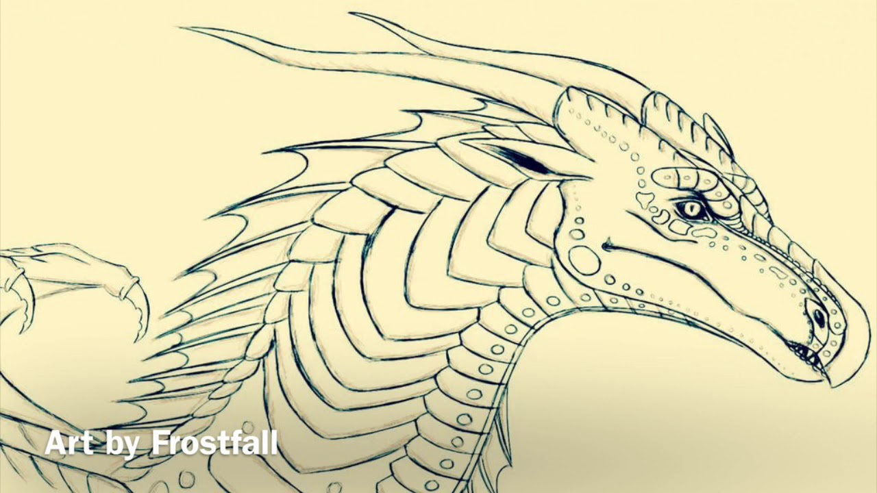 Wings of Fire The World of Albatross