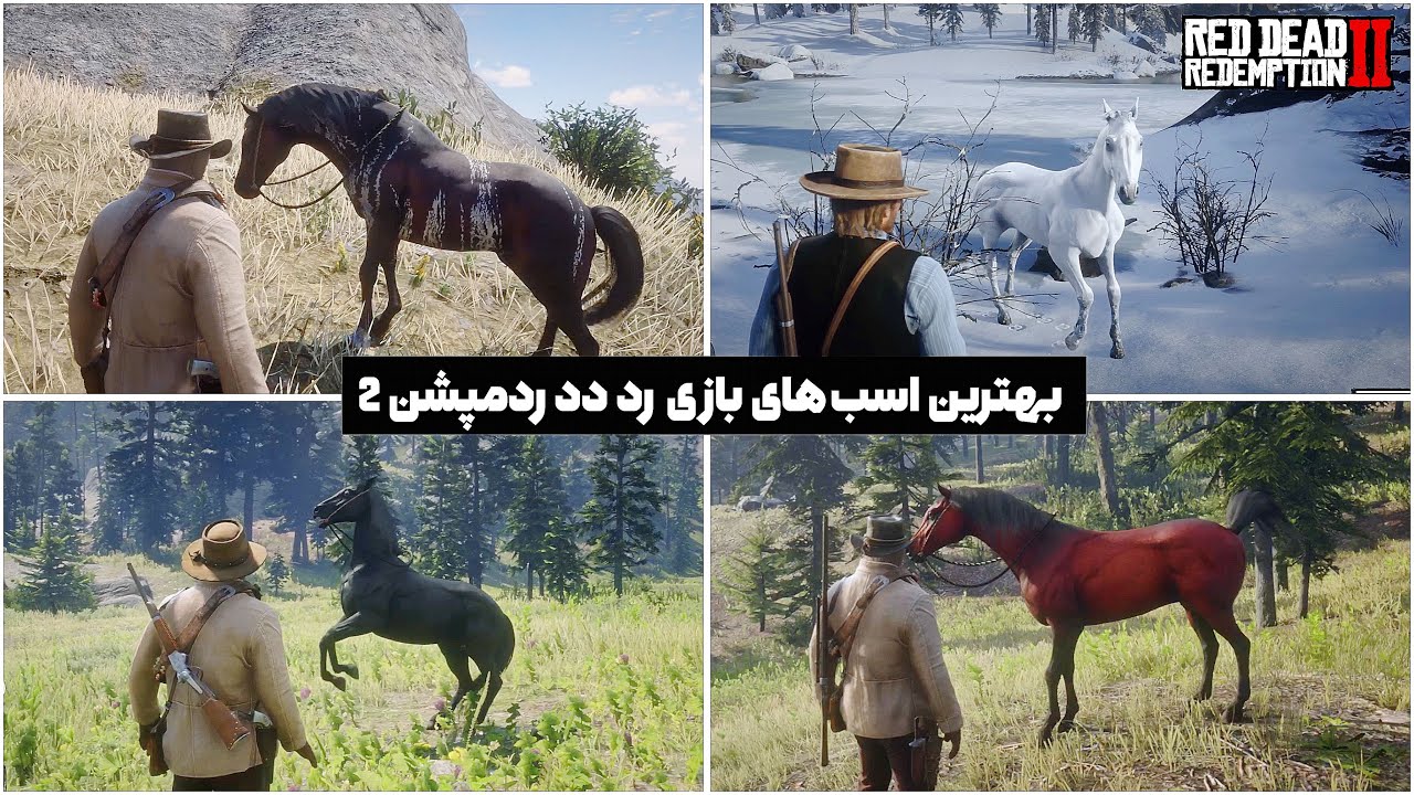 بهترین اسب های🐴بازی رد دد ردمپشن 2🔥