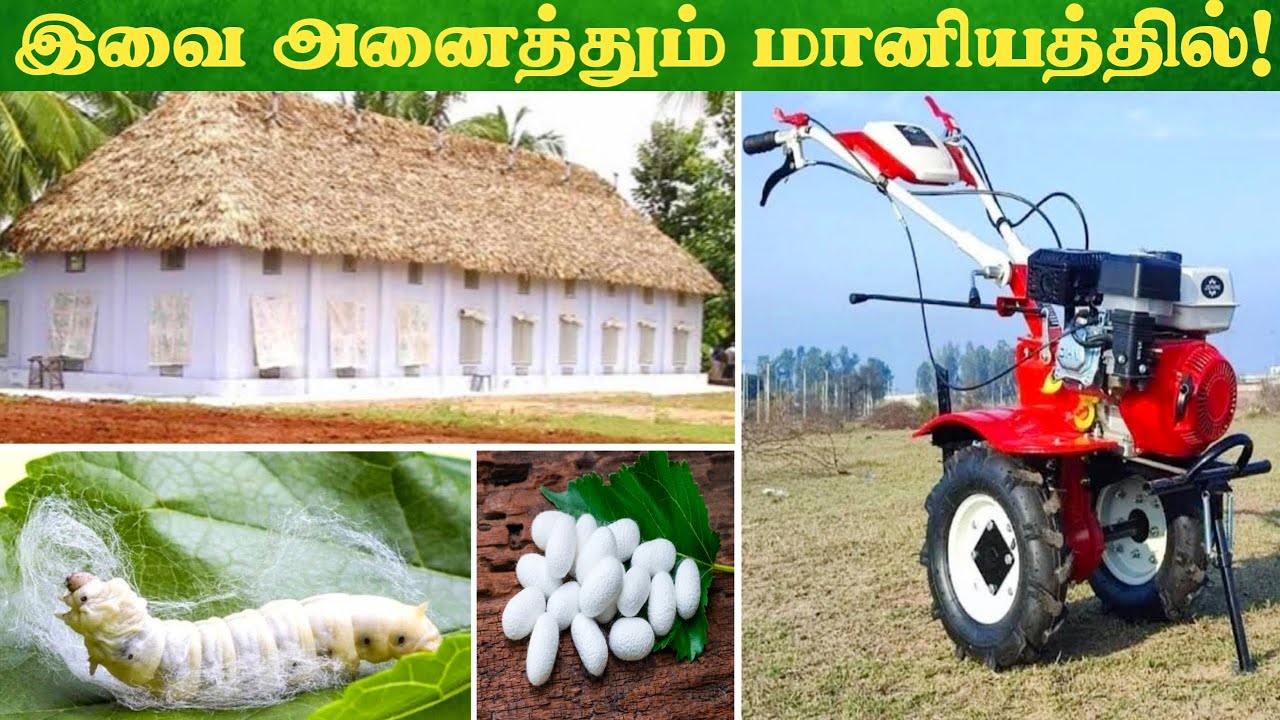 பட்டுப்புழு வளர்ப்பில் இவ்வளவு மானியமா! Subsidy in Sericulture 