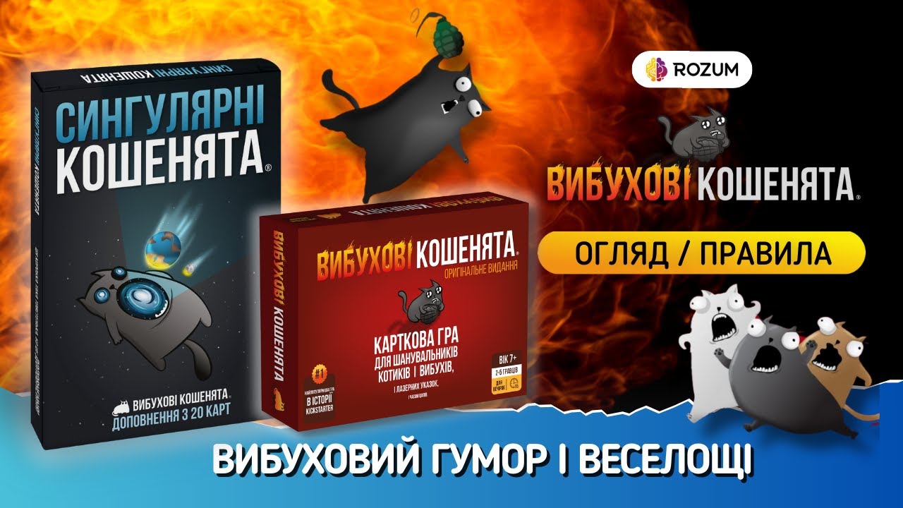 Вибухові кошенята / Огляд та відеоправила