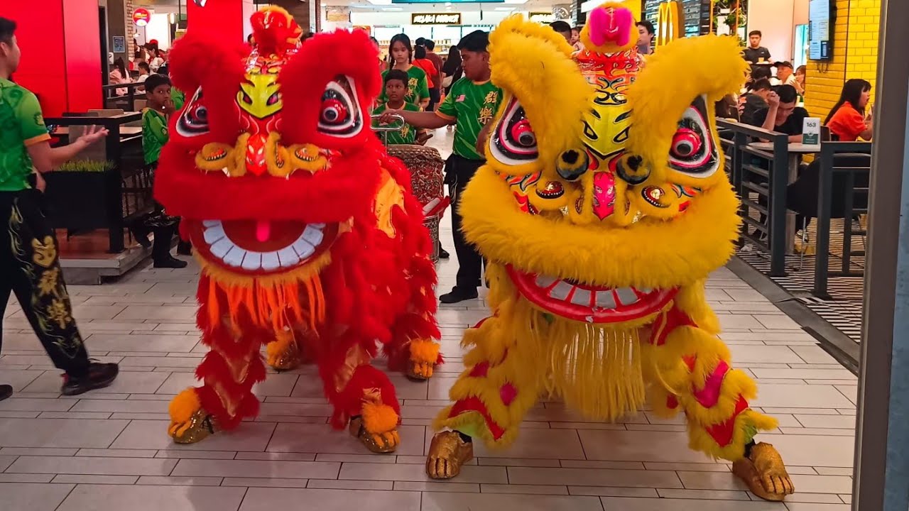 Lion Dance went to Shopping 2025