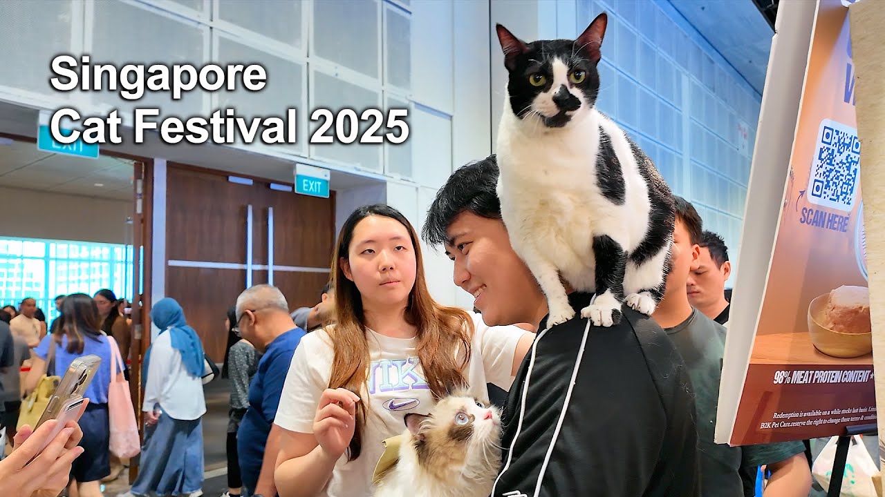 🐈&nbsp;Singapore Cat Festival 2025 | A Purr-fect Day for Cat Lovers