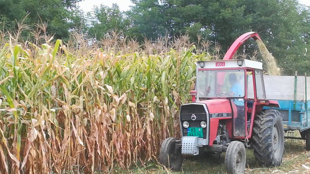 Silaža 2019 trebotin S44