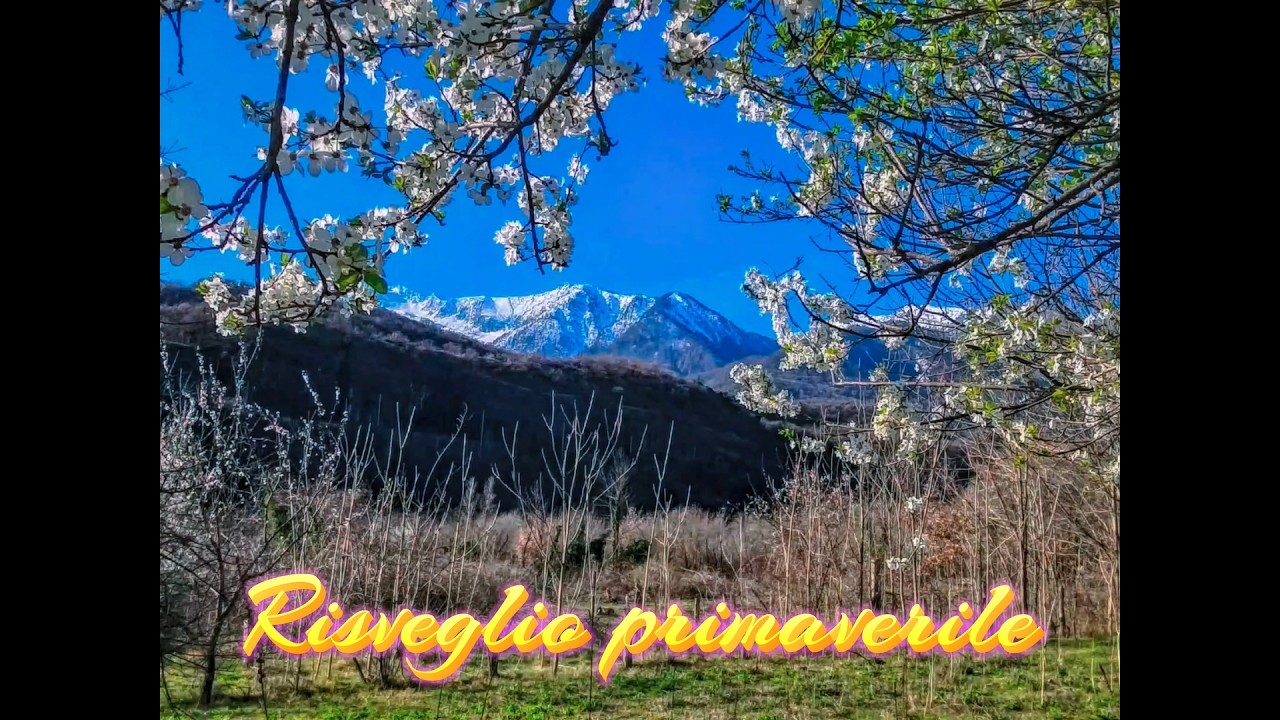 Risveglio primaverile