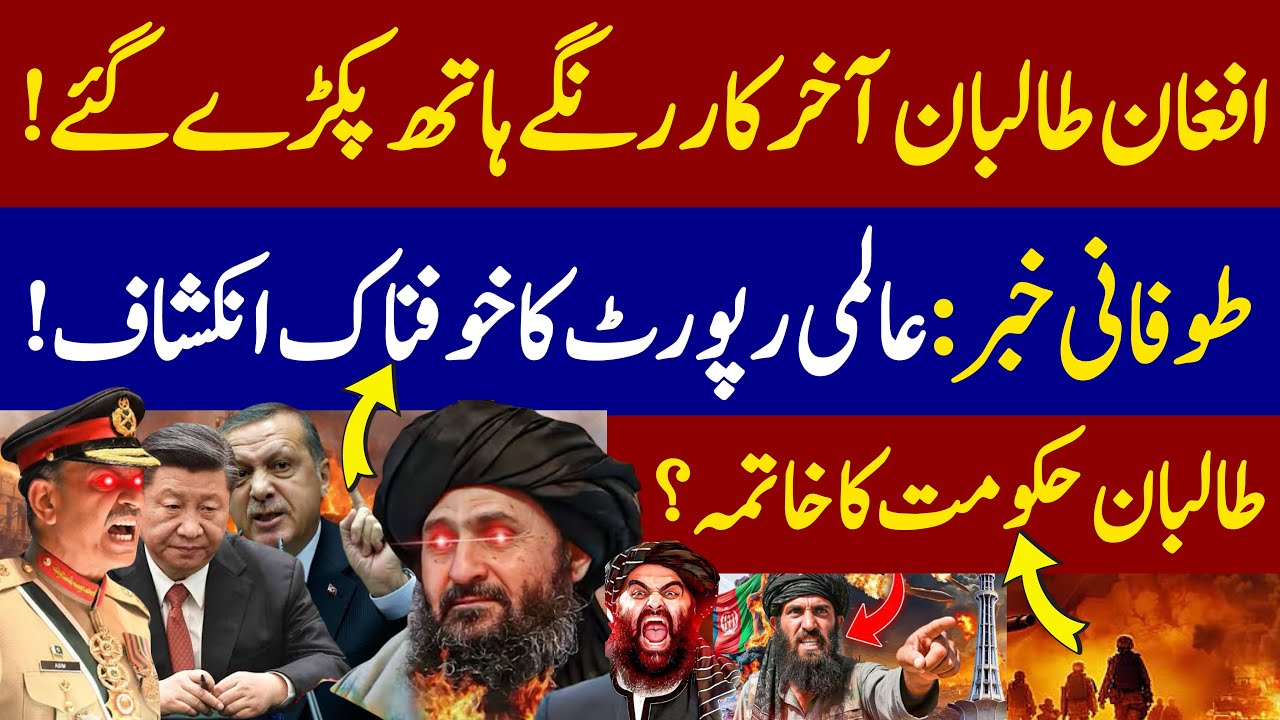 Taliban Under Fire After UN Findings | Big Diplomatic Win for Pakistan?