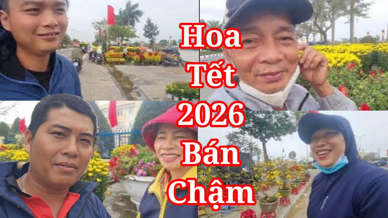 Khám phá thị trường hoa tết 2026 thấy người bán nhiều hơn người mua tại Phú Yên những ngày cuối năm