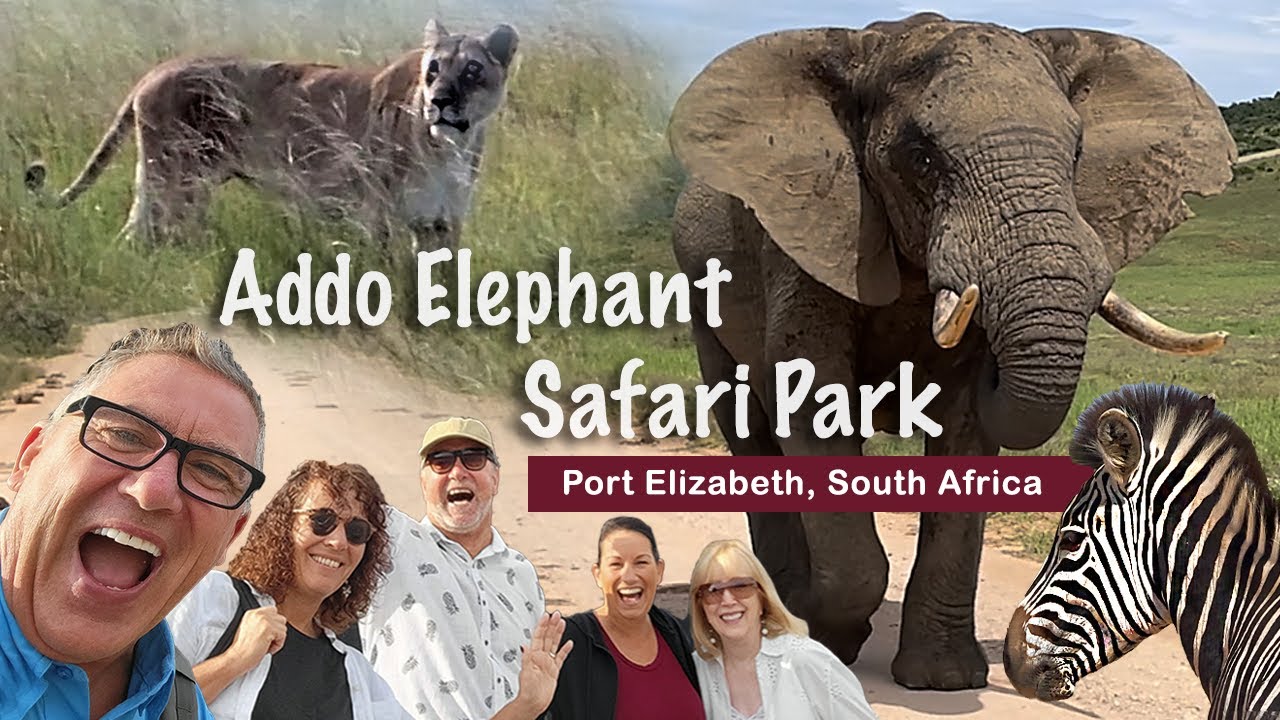 Queen Mary 2 - Port Elizabeth, South Africa Safari In Addo National Elephant Park
