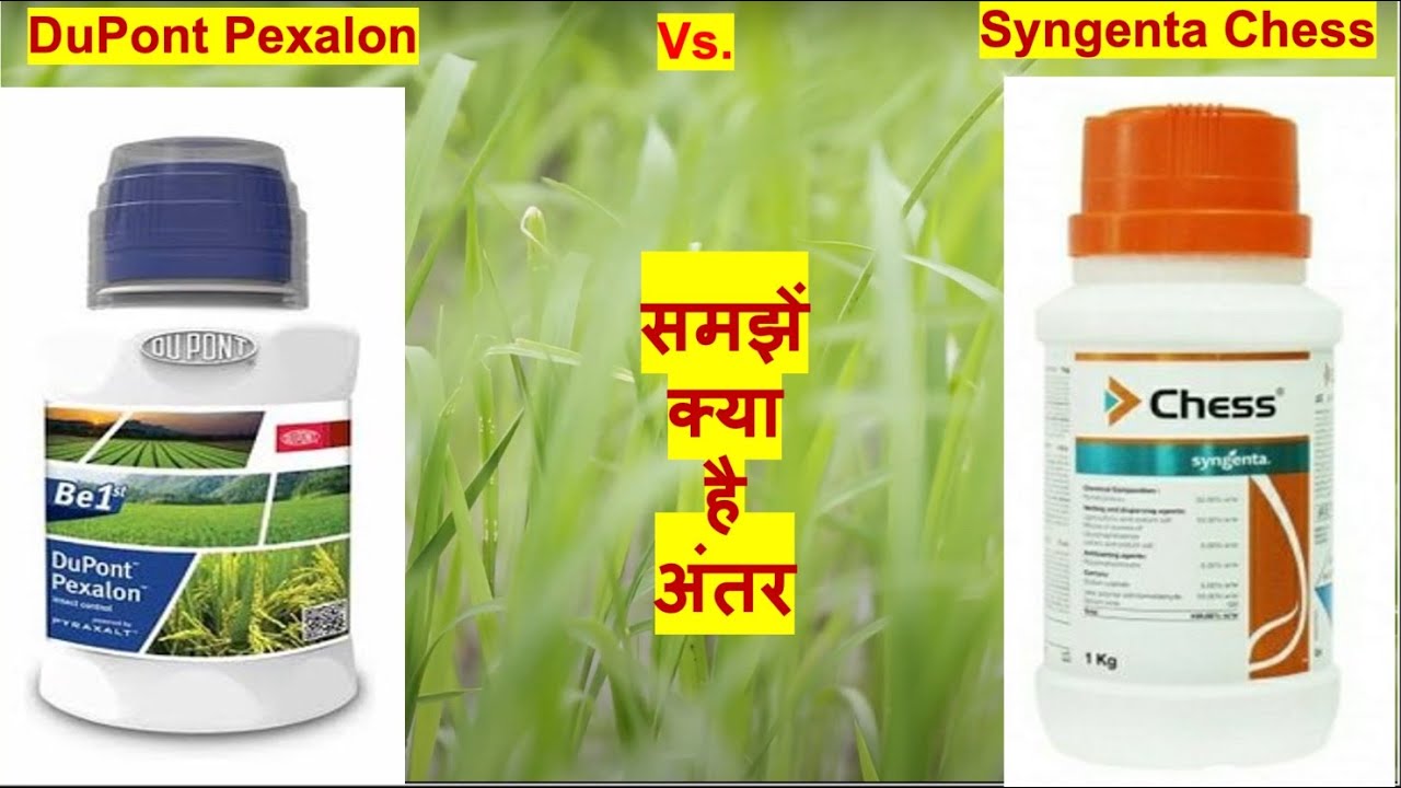 DuPont Pexalon vs Syngenta Chess | World of Agro | Triflumezopyrim | Pymetrozine | Insecticide