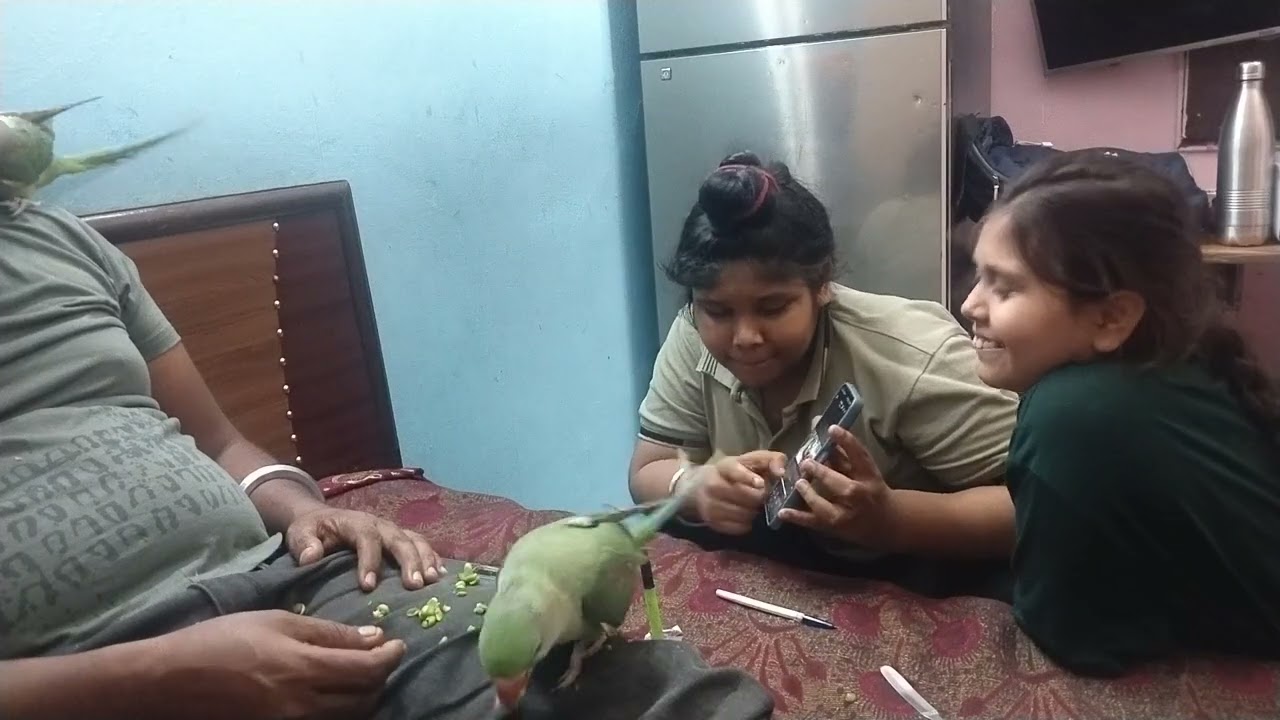 #papa ko kiya presan parrot ne