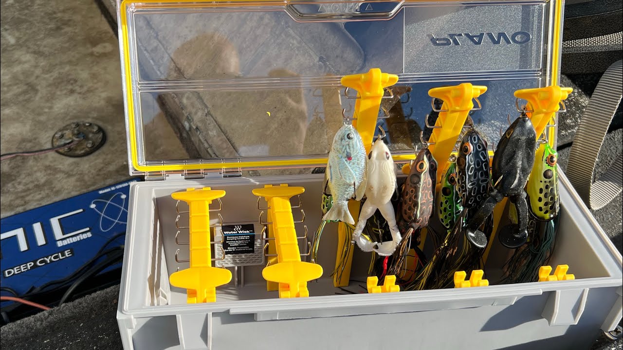 Product Review: Plano Edge Frog Box
