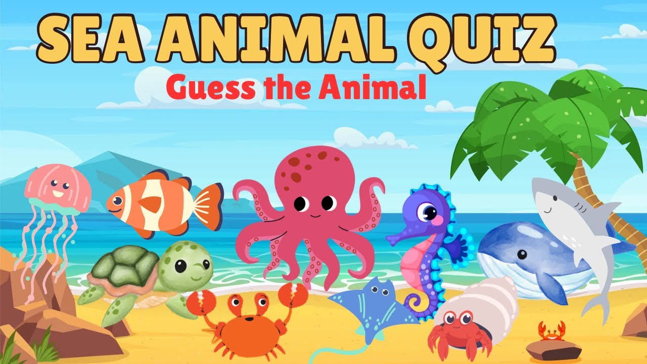 Ocean Quiz For Kids | Can You Name These Sea Animals?