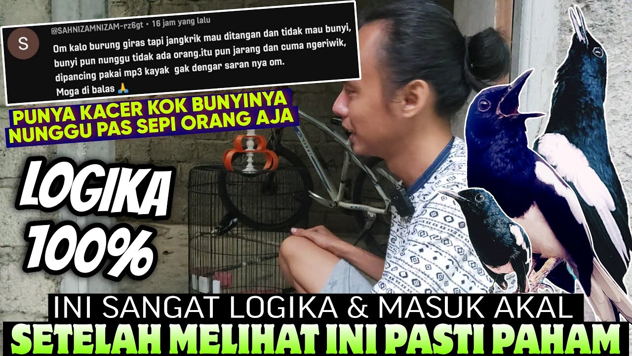 PUNYA KACER KOK BUNYI PAS SEPI ORANG SAJA || ini LOGIKA 100%, Begini Dasarnya AGAR CEPAT GACOR